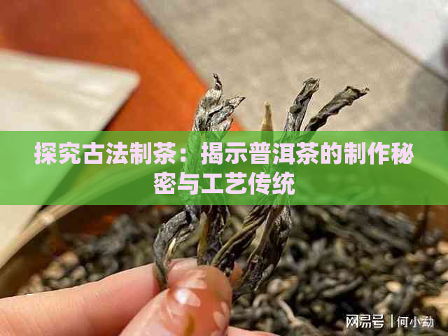 探究古法制茶：揭示普洱茶的制作秘密与工艺传统(图1)