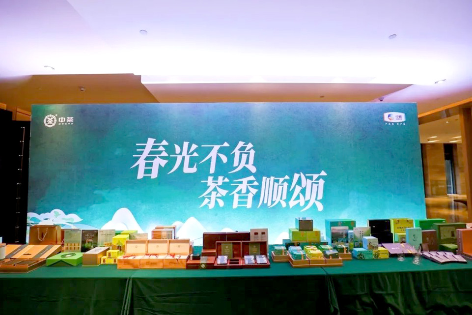 打造“金”质好茶2024中茶“春茶季”盛大开启(图7)