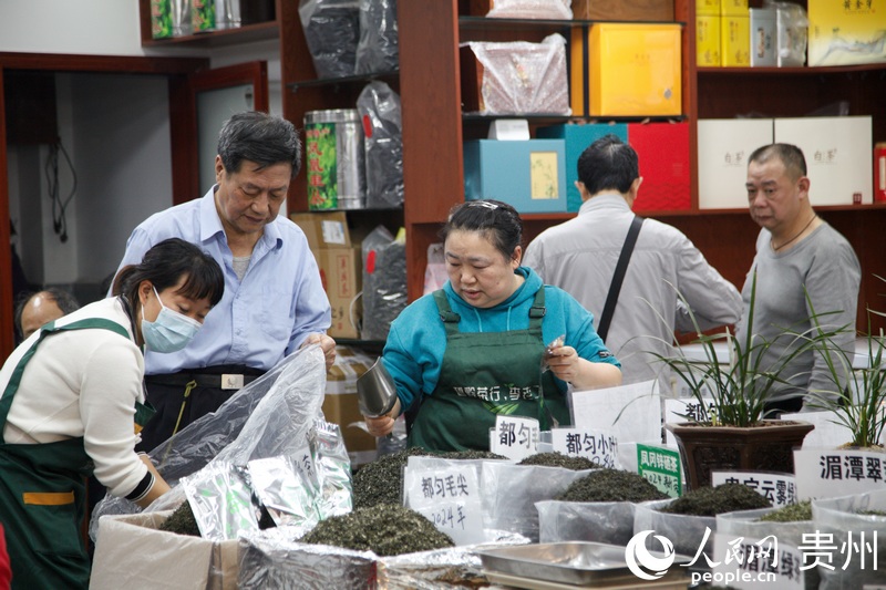 2024“国际茶日”·“贵州绿茶”品茗活动在贵阳启动(图1)