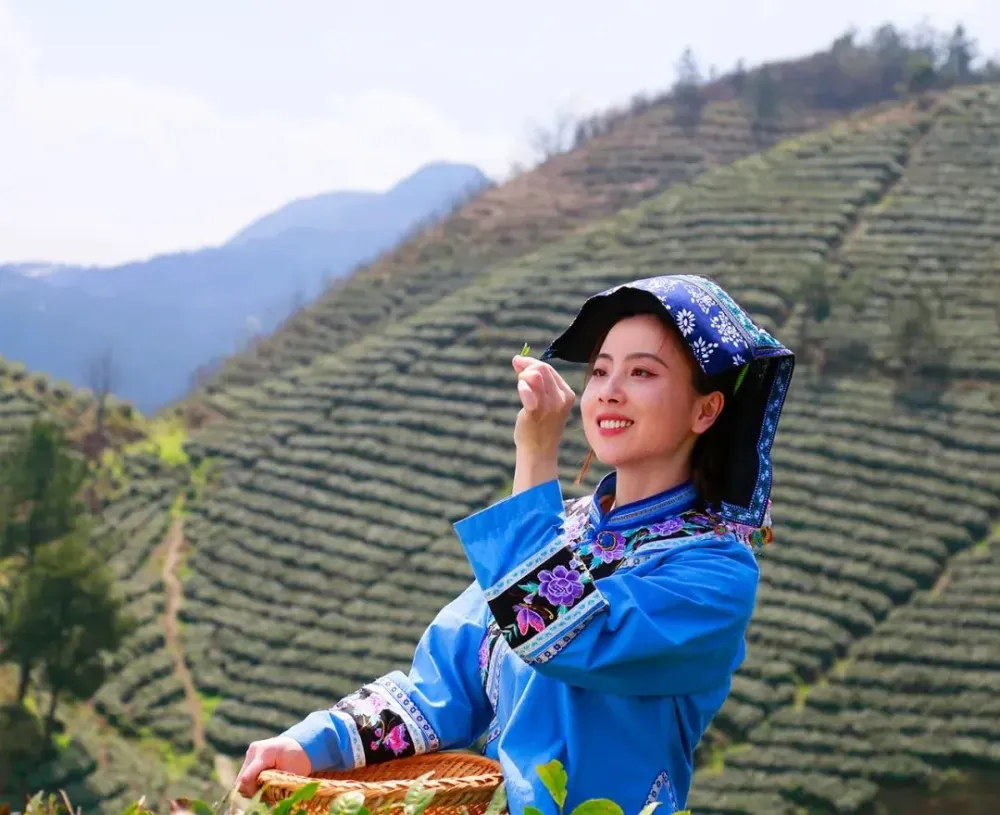 就在明天！这回必须要“剧透”了(图1)