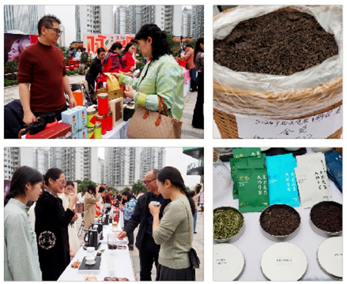 2024广西春茶系列活动暨国际茶日和第十六届全民饮茶日启动仪式在南宁举行(图1)