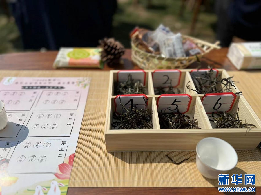 PG电子平台“2024南华兔乐之古茶文化节·春日熹宴”活动在云南楚雄开幕_新华网(图1)