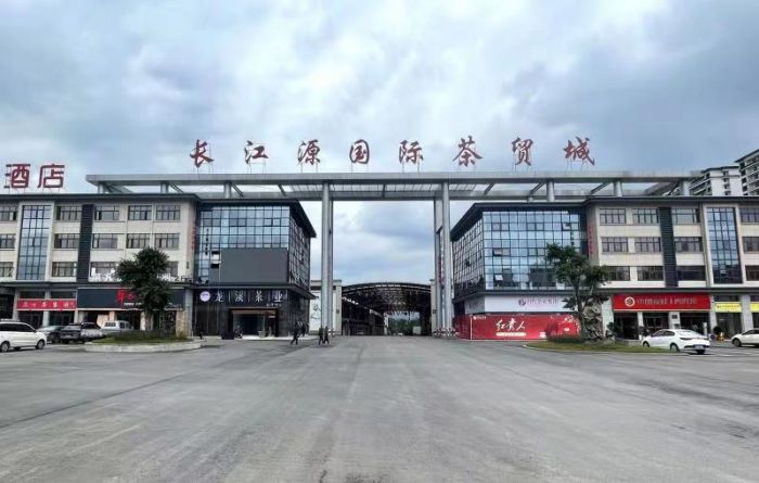 PG电子网站高县：1—7月茶叶量质双增(图3)