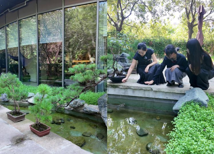 品茗、练拳、游园……跟着普陀这条线路“阅读中国”(图6)