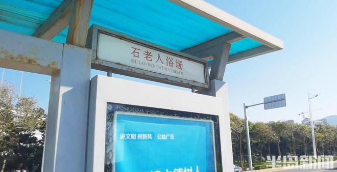 服务升级、直达石老人浴场！青岛317路旅游观光线明起优化调整(图1)