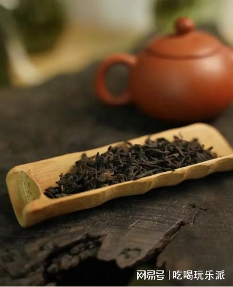 PG平台明天开幕！2024河南第二届六堡茶文化节郑州启幕9大亮点抢先看(图1)