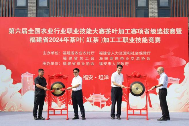 巧手斗茶以赛促能！福建红茶产业再掀新浪潮(图2)