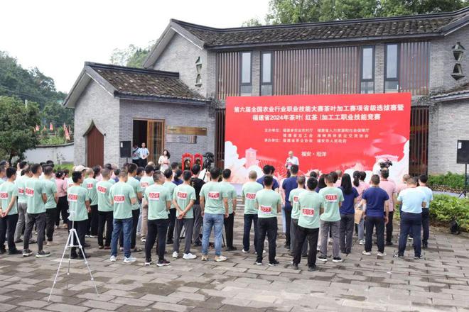 巧手斗茶以赛促能！福建红茶产业再掀新浪潮(图1)