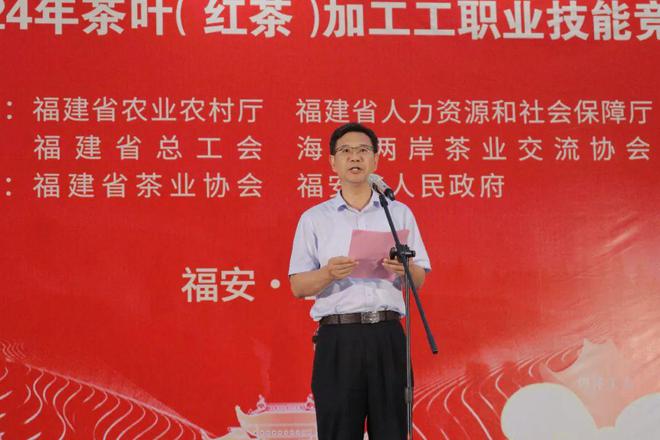 巧手斗茶以赛促能！福建红茶产业再掀新浪潮(图11)