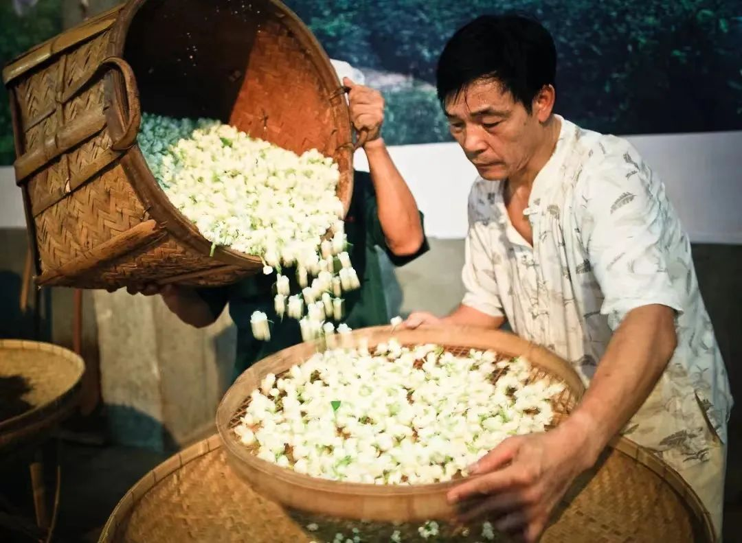 “香”约北京福州茉莉花茶展团9月6-9日将亮相第17届北京茶博会(图2)
