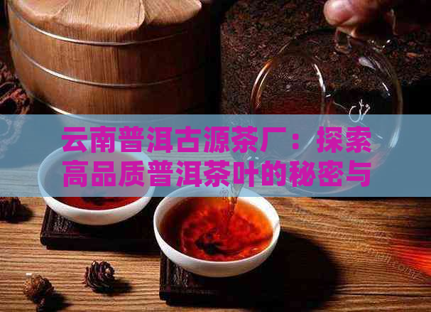 云南普洱古源茶厂：探索高品质普洱茶叶的秘密与传统制作工艺(图1)