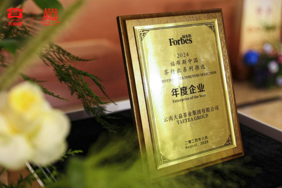 PG平台大益集团：以茶为礼和益天下(图7)