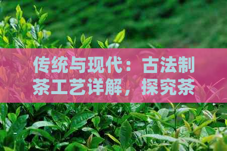 PG电子网站传统与现代：古法制茶工艺详解探究茶艺的精技艺与独特韵味(图1)