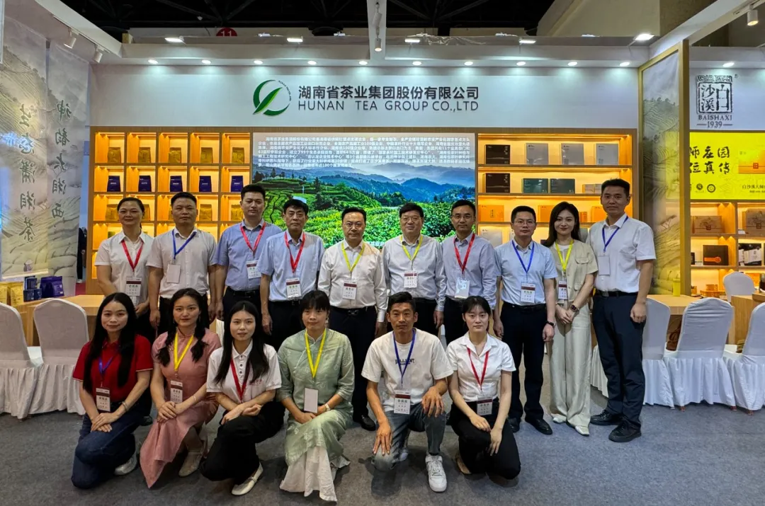 PG电子平台白沙溪盛装参展2024北京国际茶业展(图3)