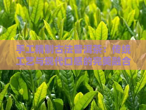 手工精制古法普洱茶：传统工艺与现代口感的完美融合(图1)