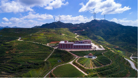从一叶兴而百业兴传统工艺绘就福建安溪致富新画卷(图1)