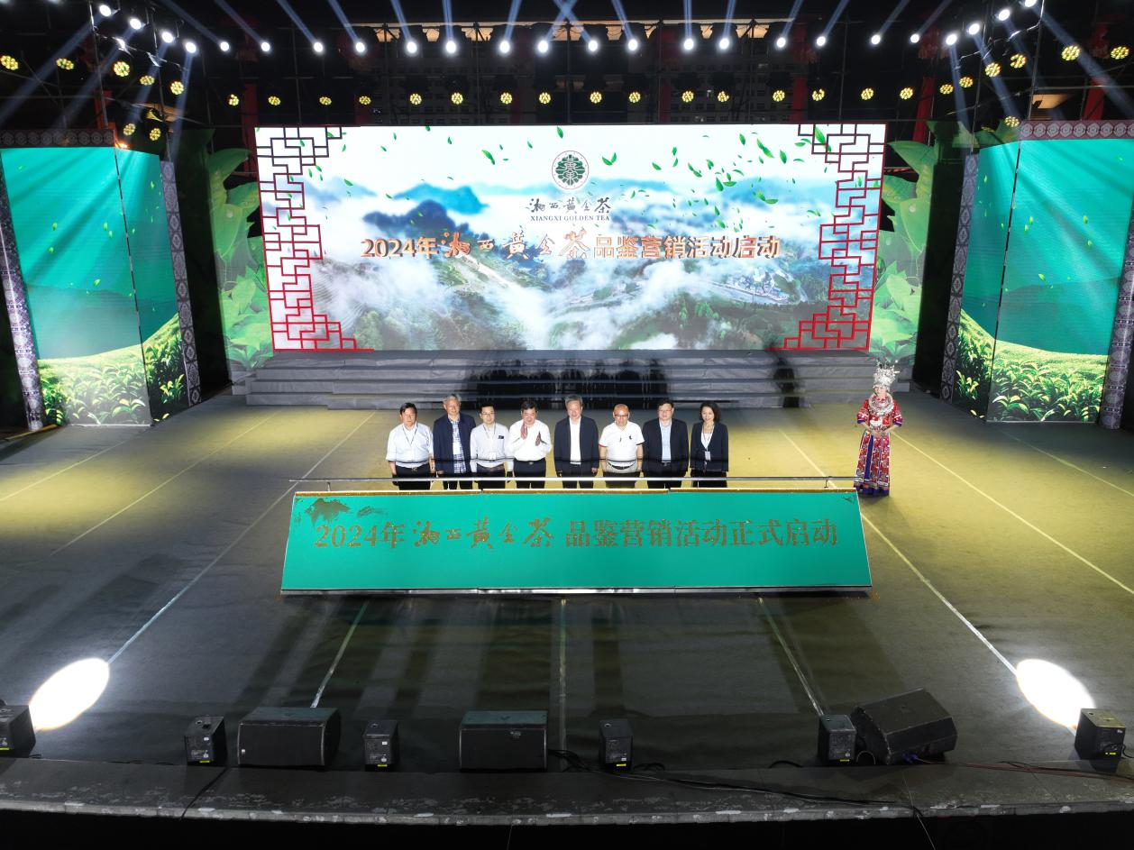 2024年湘西黄金茶品鉴营销活动开幕(图2)