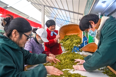 秀水出好茶一叶知千岛千岛湖茶叶市场开启2024湖茶盛宴(图2)