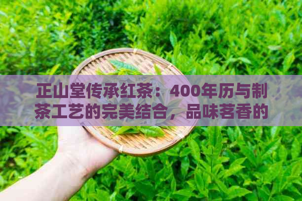 正山堂传承红茶：400年历与制茶工艺的完美结合品味茗香的极指南(图1)