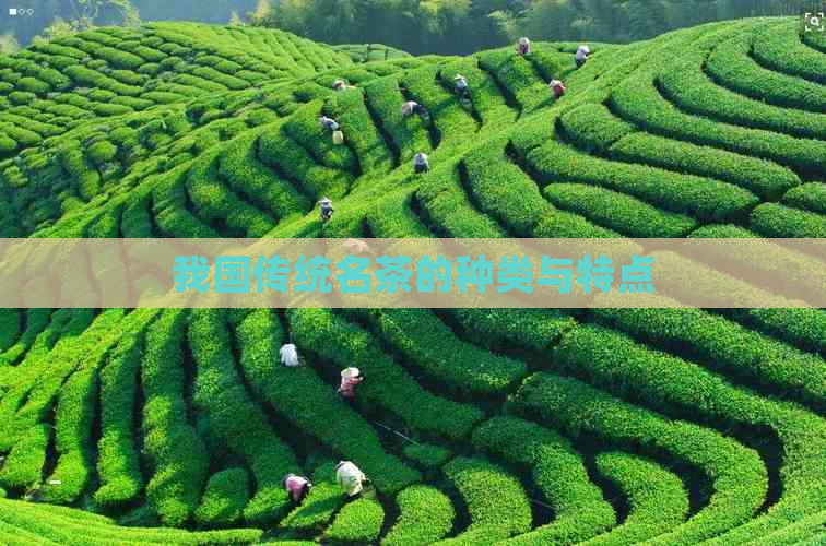 我国传统名茶的种类与特点(图1)