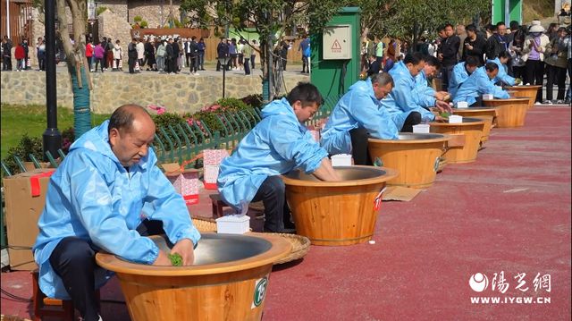 宁强举行2024年第三届“汉中仙毫”手工制茶技能大赛(图3)