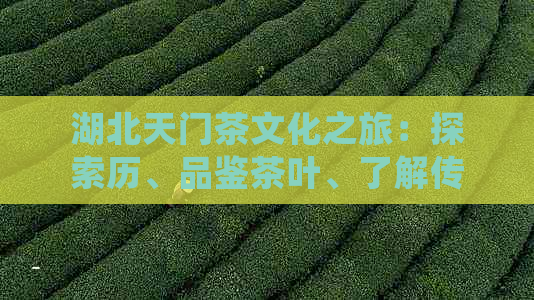 湖北天门茶文化之旅：探索历、品鉴茶叶、了解传统工艺与现代创新(图1)