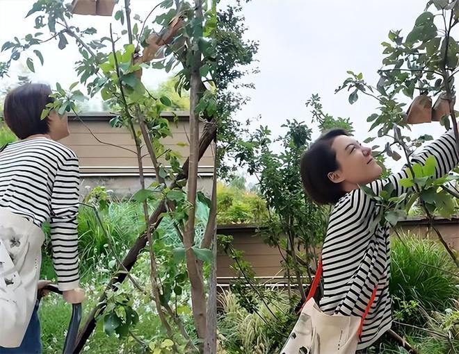 PG电子网站42岁车晓晒独居生活住别墅在小院爬梯摘苹果离婚12年不觉孤单(图2)
