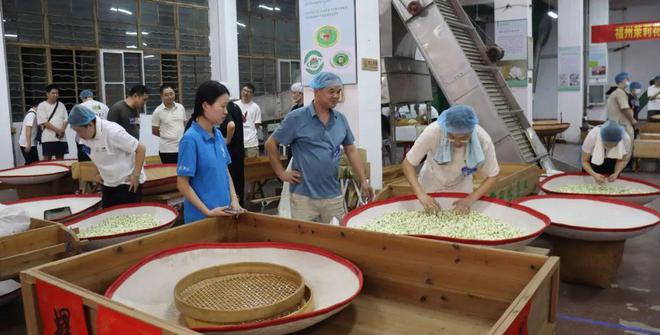 匠心筑梦谱新篇！新一代福州茉莉花茶传统工艺传承大师即将诞生(图7)