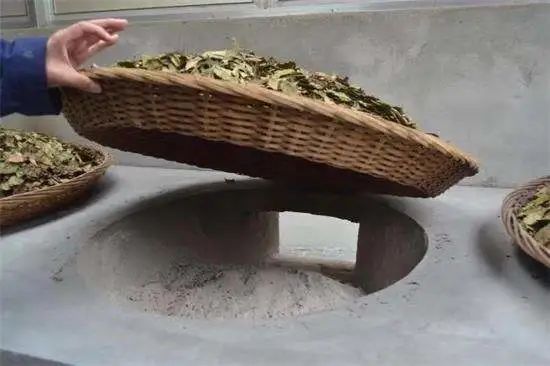 机器做出来的茶怎么能算传统工艺？！(图5)