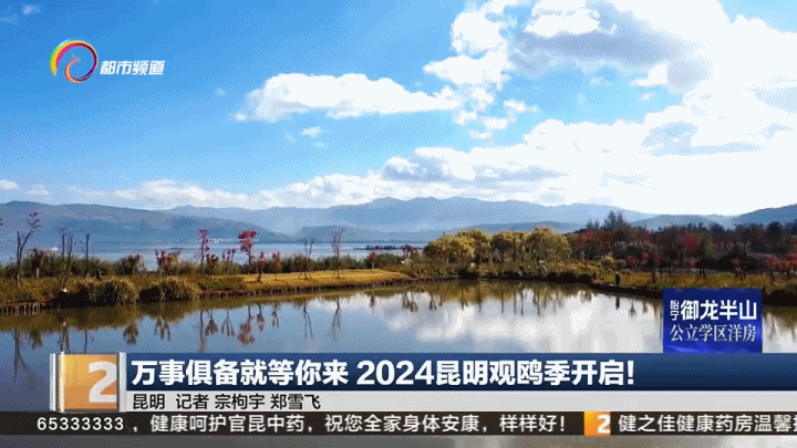 PG电子平台26个点位、Plus版地图、三条专线昆明观鸥季开启(图1)