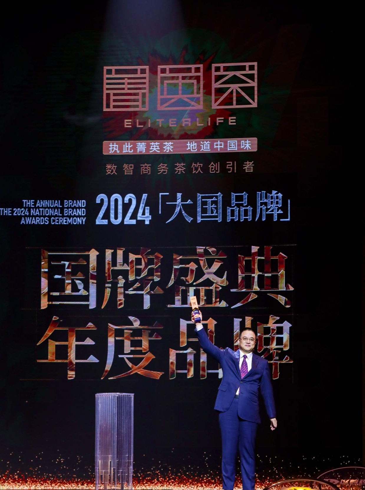 菁英茶获评2024《大国品牌》国牌盛典年度品牌(图1)