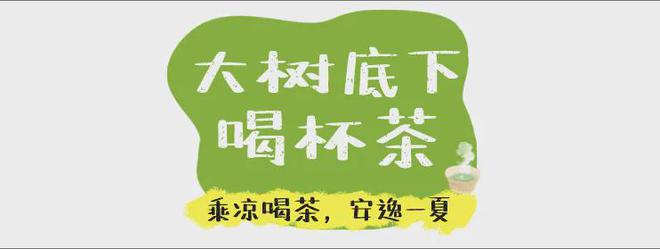 PG电子网站成都茶楼协会：2024国际茶日给非遗盖碗茶、坝坝茶过了一个节(图3)