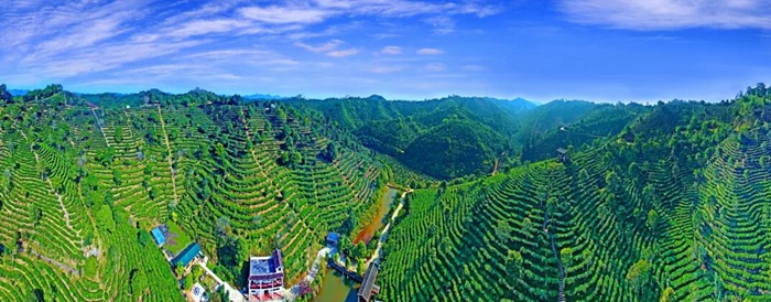PG平台即将开幕！2024年广西文化旅游发展大会亮点抢先看(图2)