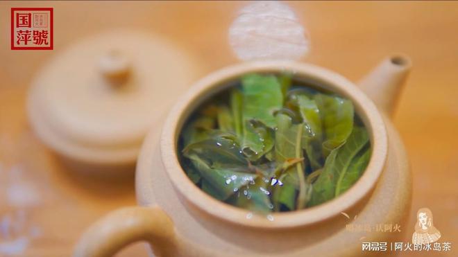 如何选购高品质冰岛茶(图5)