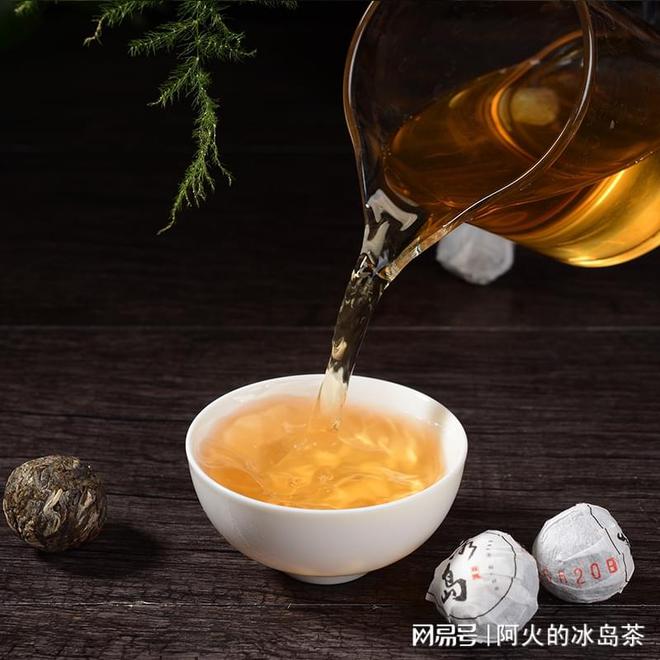 如何选购高品质冰岛茶(图3)