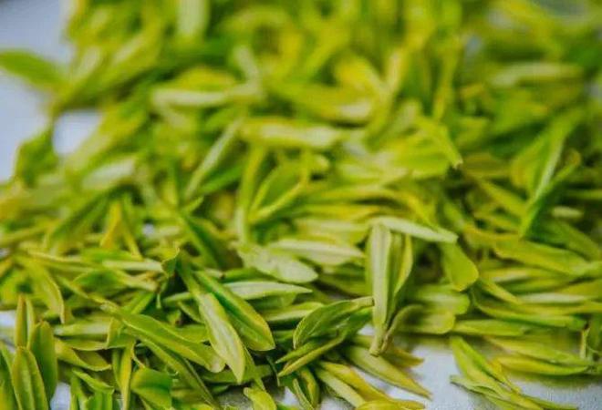 PG电子平台我市举办2024茶叶加工工（绿茶）技能竞赛(图1)