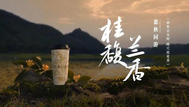 这个“新皮肤”透露霸王茶姬营销核心……(图5)