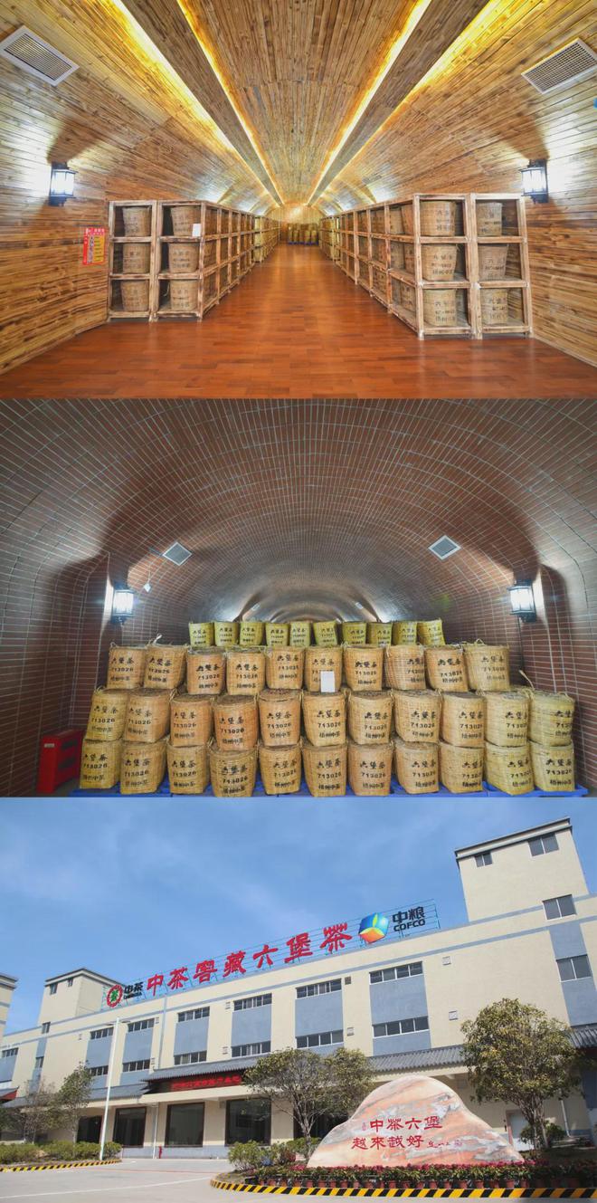 品赏非遗技艺魅力游览梧州秀丽山河(图1)