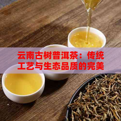 云南古树普洱茶：传统工艺与生态品质的完美结合(图1)