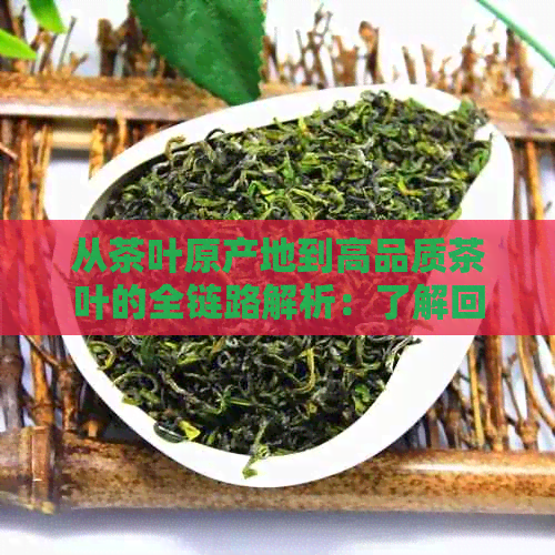 PG电子平台从茶叶原产地到高品质茶叶的全链路解析：了解回流老茶的制造工艺与品鉴技巧(图1)