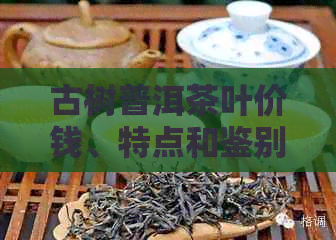 PG电子网站普洱茶动态专题(图4)