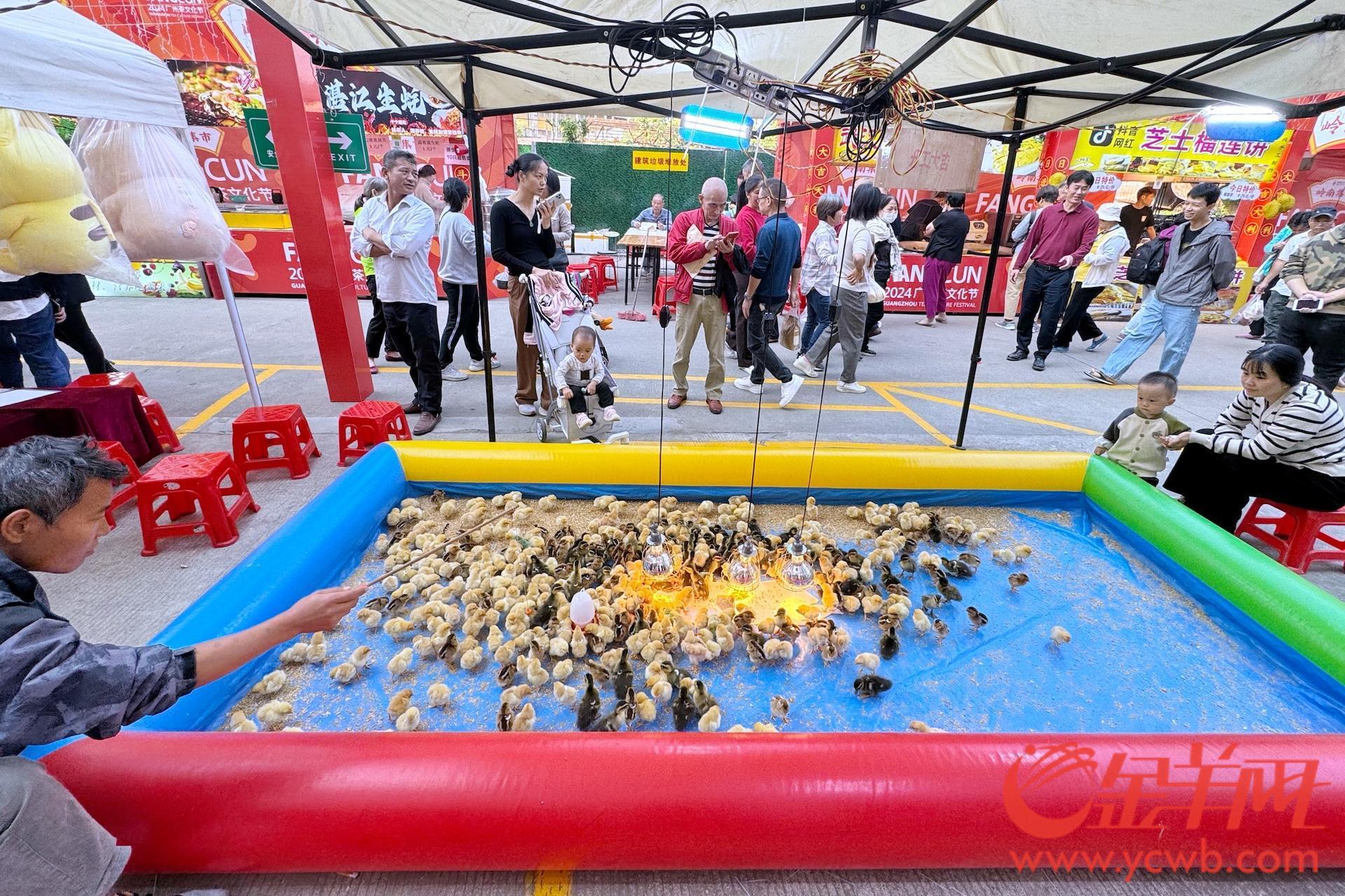 茶酒、都匀毛尖、泡茶机……2024广州茶文化节开幕特色茶产品亮相(图11)