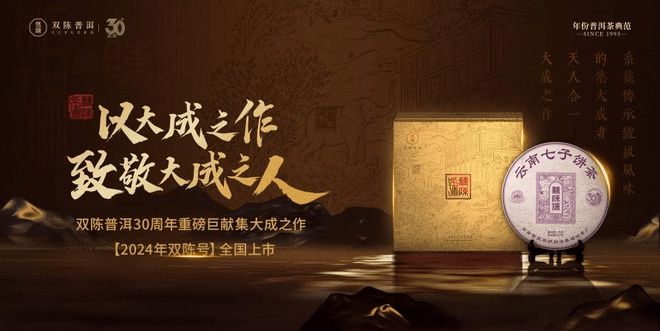 三十而立·向新而行——2024双陈品牌迎30周年大会圆满举办(图12)