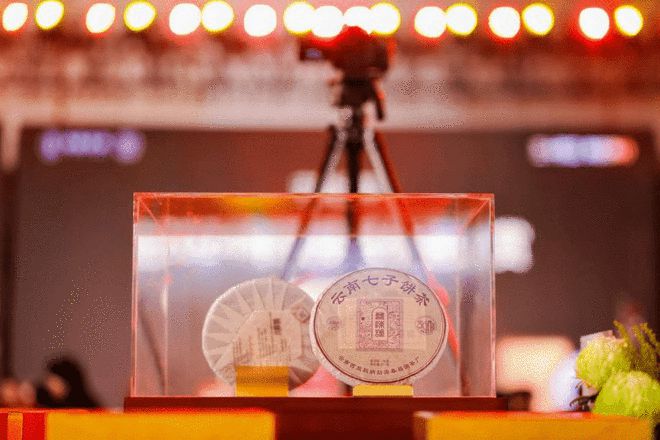 三十而立·向新而行——2024双陈品牌迎30周年大会圆满举办(图14)