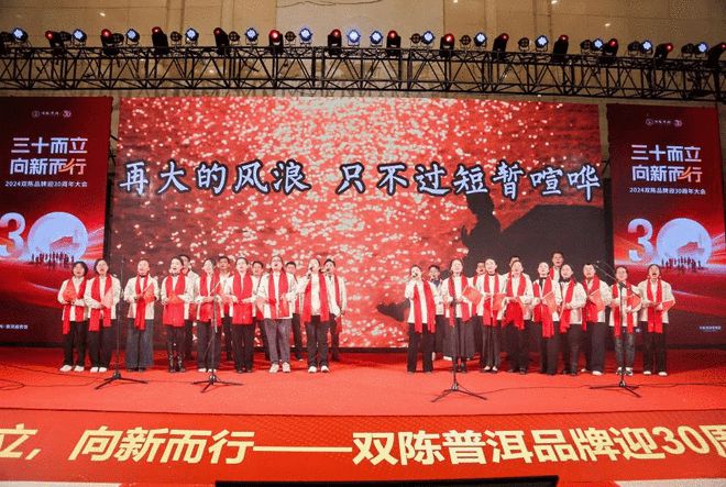 三十而立·向新而行——2024双陈品牌迎30周年大会圆满举办(图19)