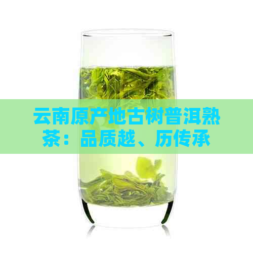 PG平台云南原产地古树普洱熟茶：品质越、历传承与创新工艺的完美融合(图1)