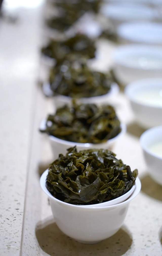 PG电子网站伍鹭客杯”兰花香安溪铁观音茶王赛颁奖礼明日举办(图10)