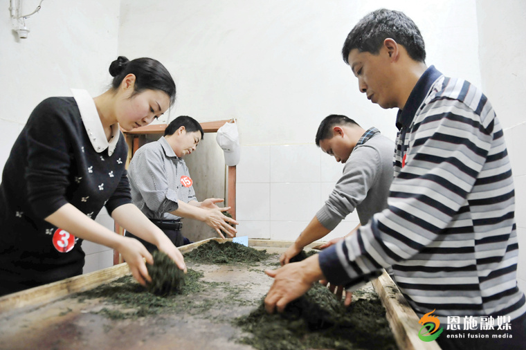 恩施玉露：一片绿叶的“闯关出圈”之旅(图10)