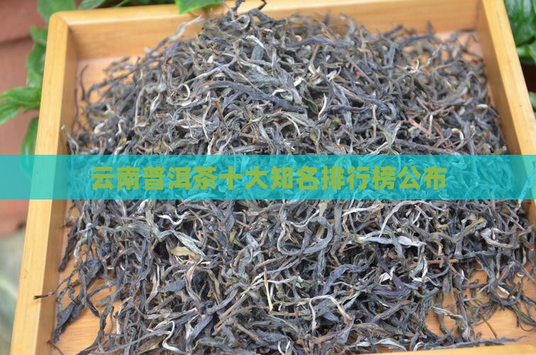 云南普洱茶十大知名排行榜公布(图2)