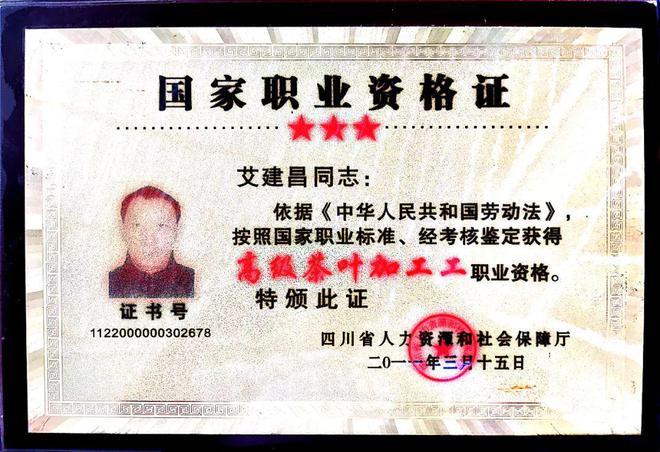 2024明前茶6位大师监制春之味尽收杯中(图23)